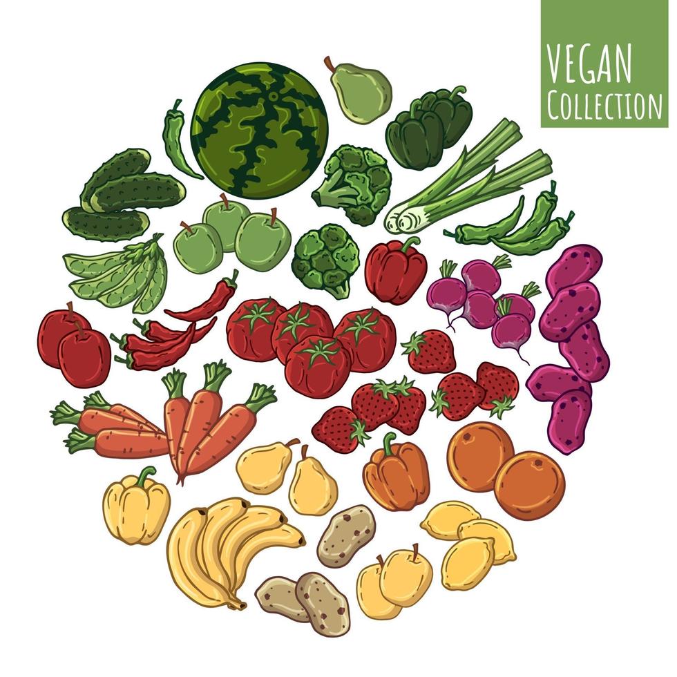 grönsakssfärvektor vektor