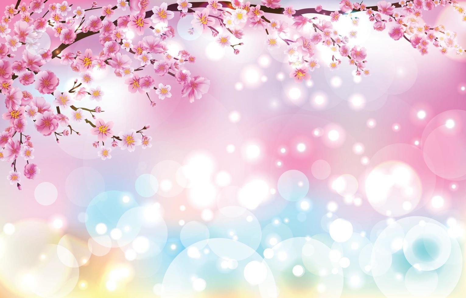 schöne Kirschblüte mit Bokeh Lichter Hintergrundkonzept vektor