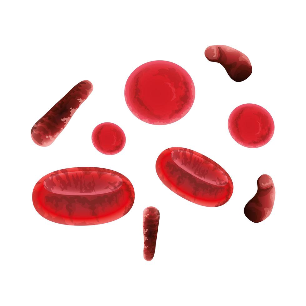 Symbole für rote Blutkörperchen vektor