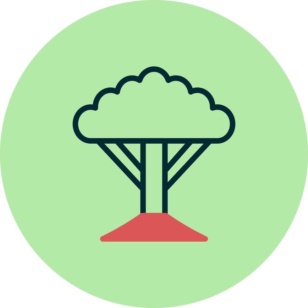 socotra träd vektor ikon