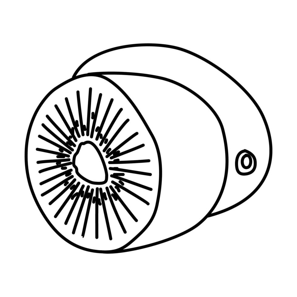 tropische Ikone der Kiwi. Gekritzel Hand gezeichnet oder Umriss Symbol Stil vektor