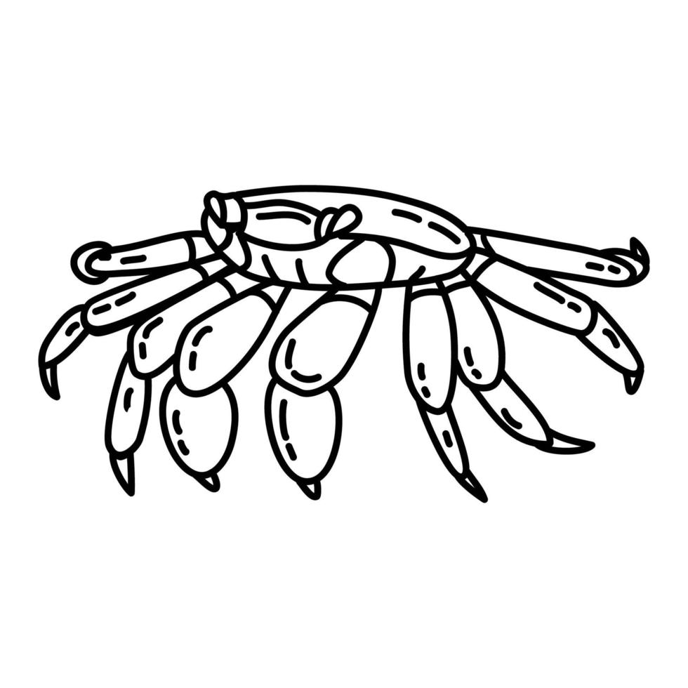 tropische Ikone der Krabbe. Gekritzel Hand gezeichnet oder Umriss Symbol Stil vektor