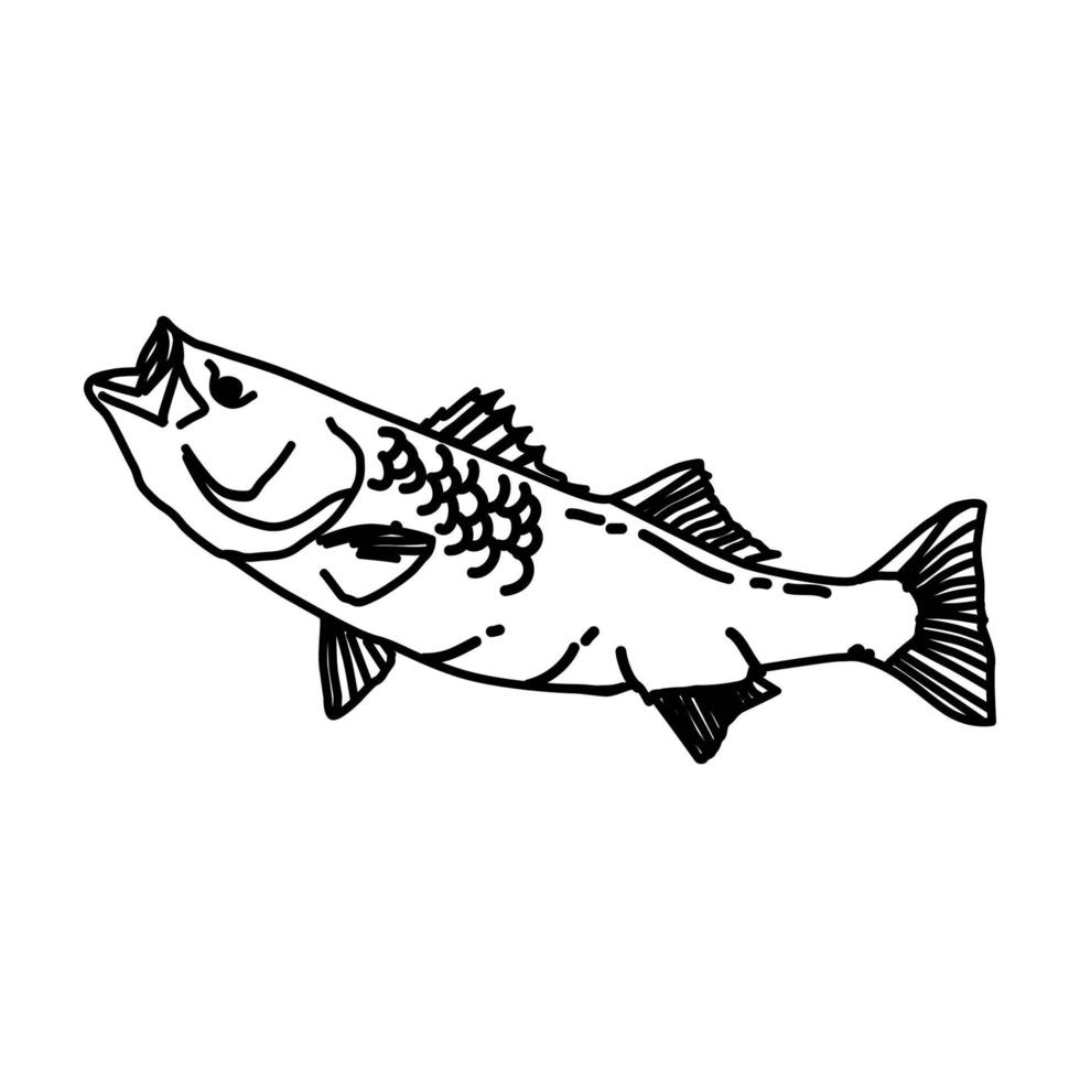 fisk tropisk ikon. doodle handritad eller dispositionsikon stil vektor