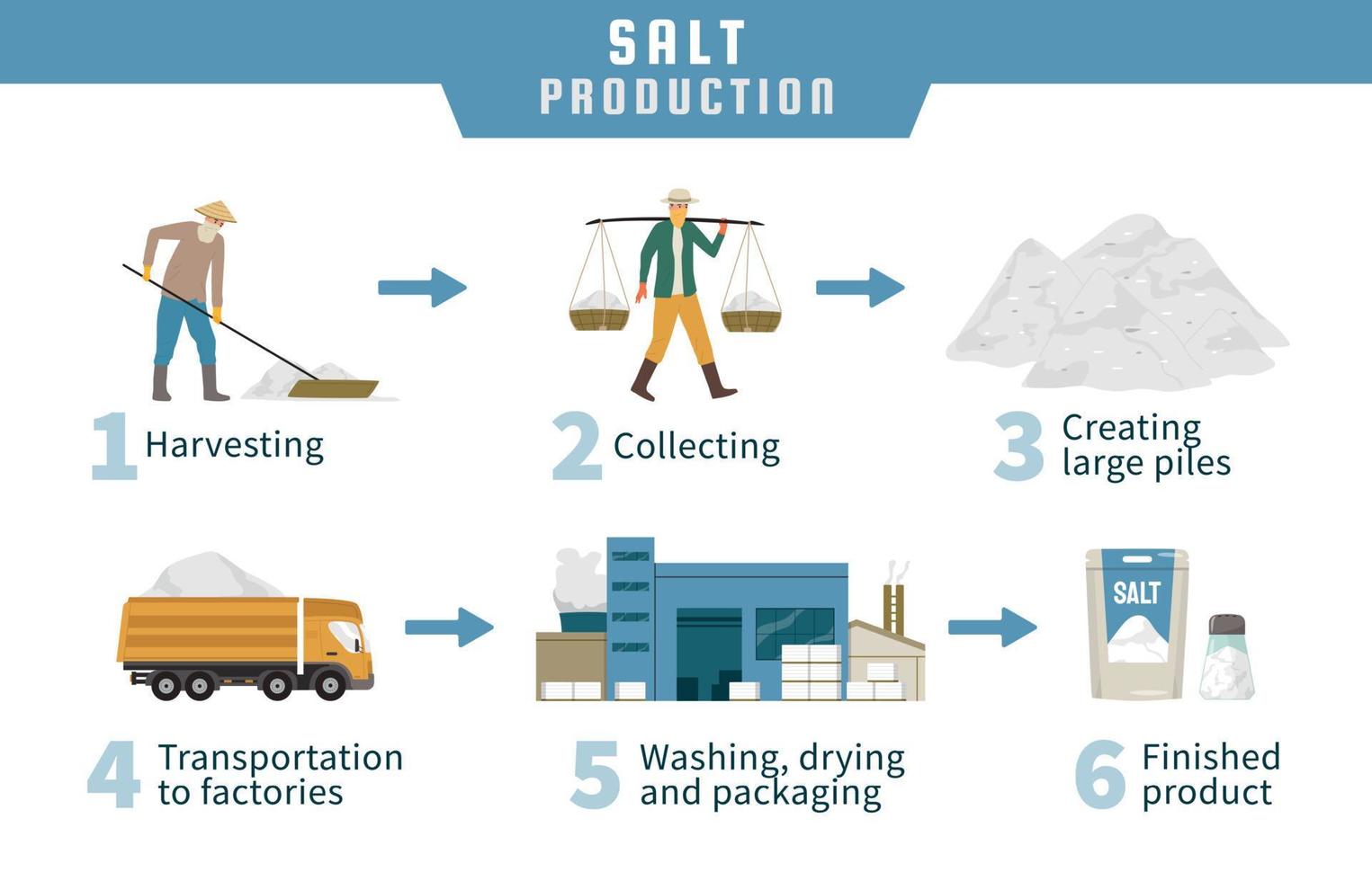 salt produktion infographics vektor