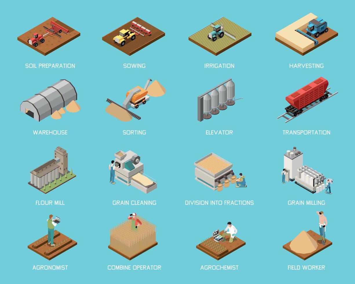 vete spannmål industri isometrisk uppsättning vektor