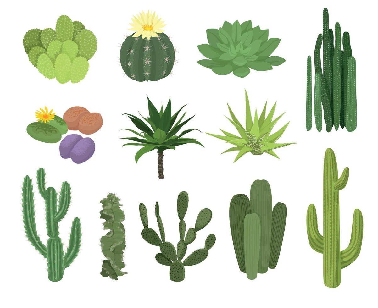 kaktusar platt ikon uppsättning vektor