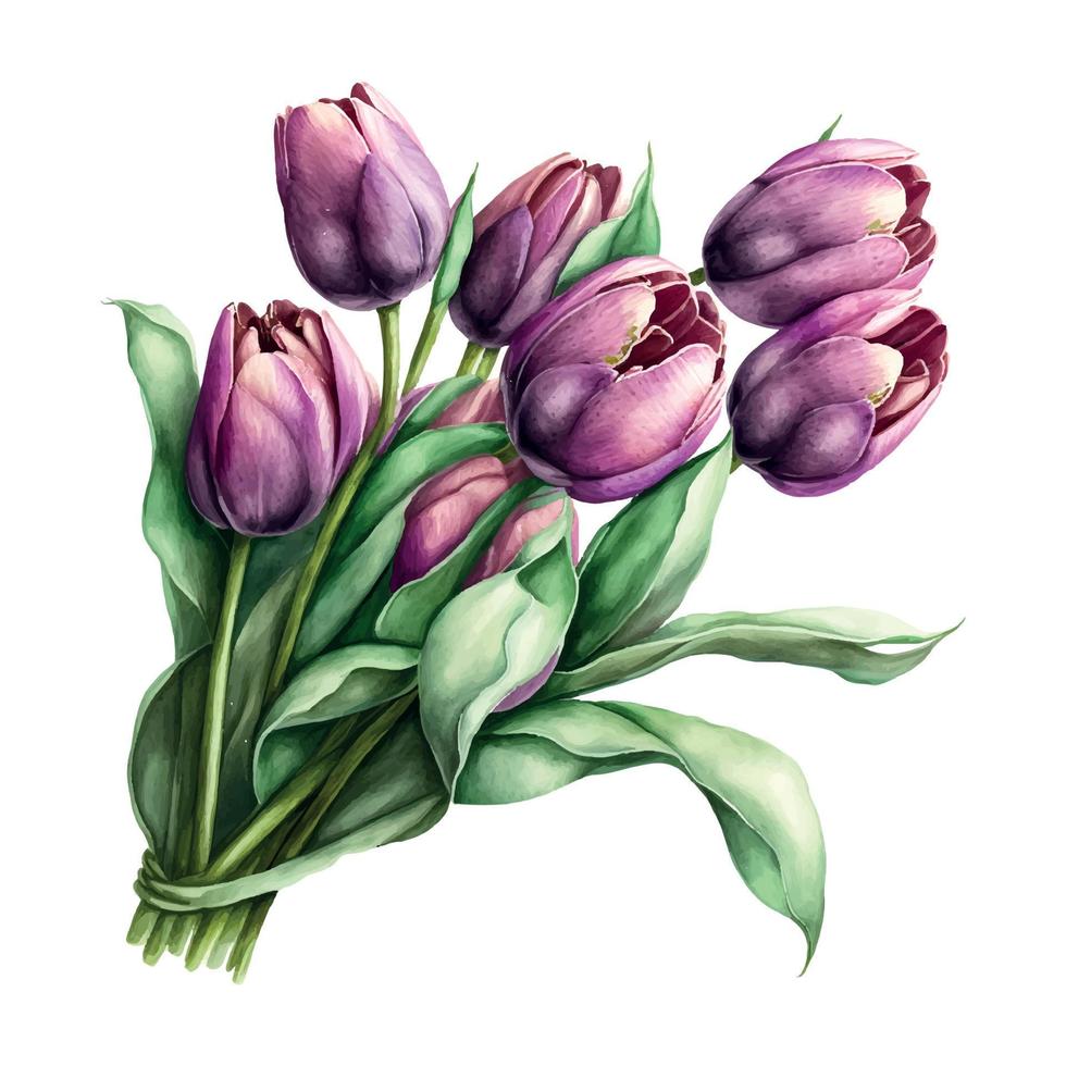 Strauß von Blumen auf ein isoliert Weiß Hintergrund. Aquarell Illustrationen. lila Tulpen Vektor