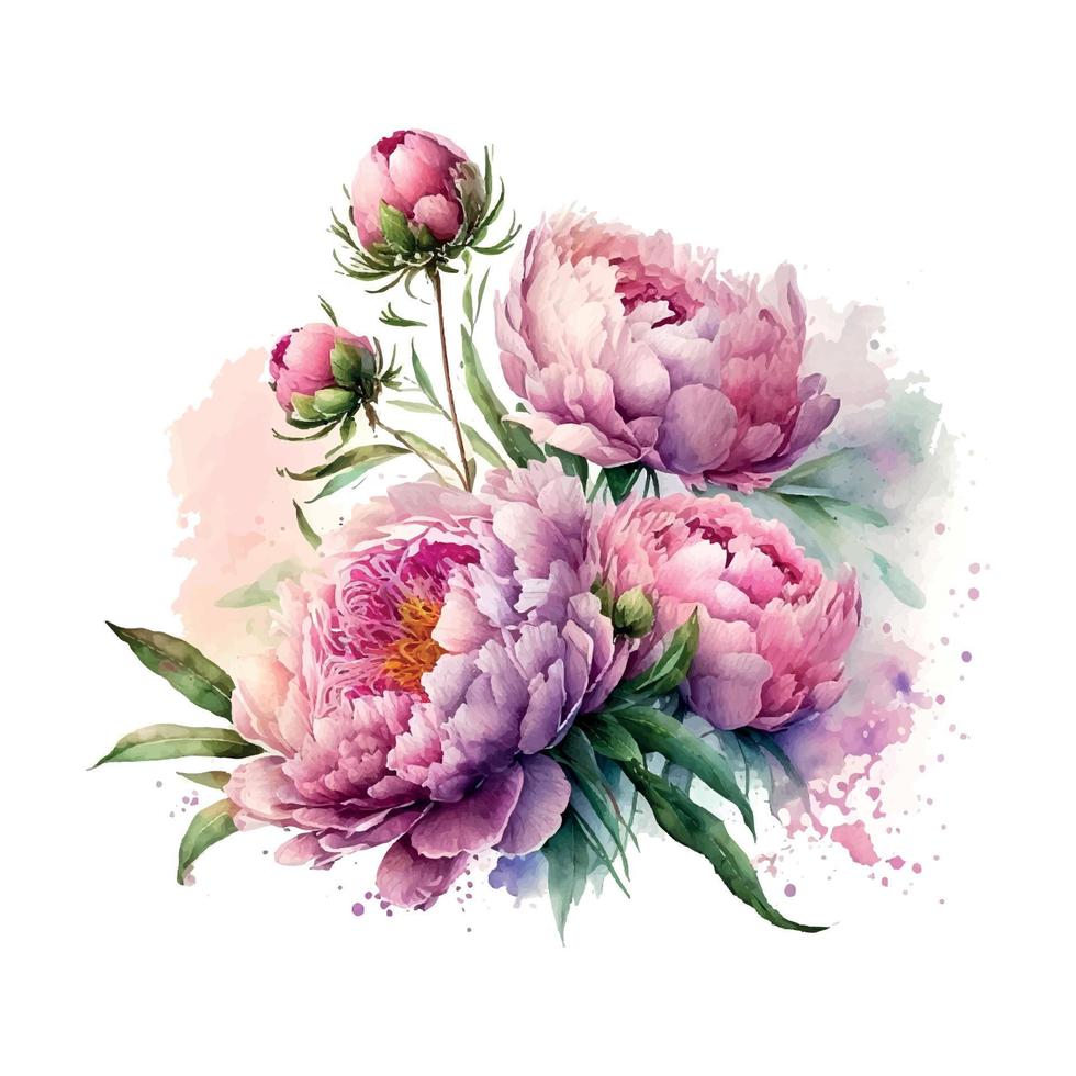 vektor stock blomma illustration, rosa pion på en vit bakgrund. vattenfärg stil