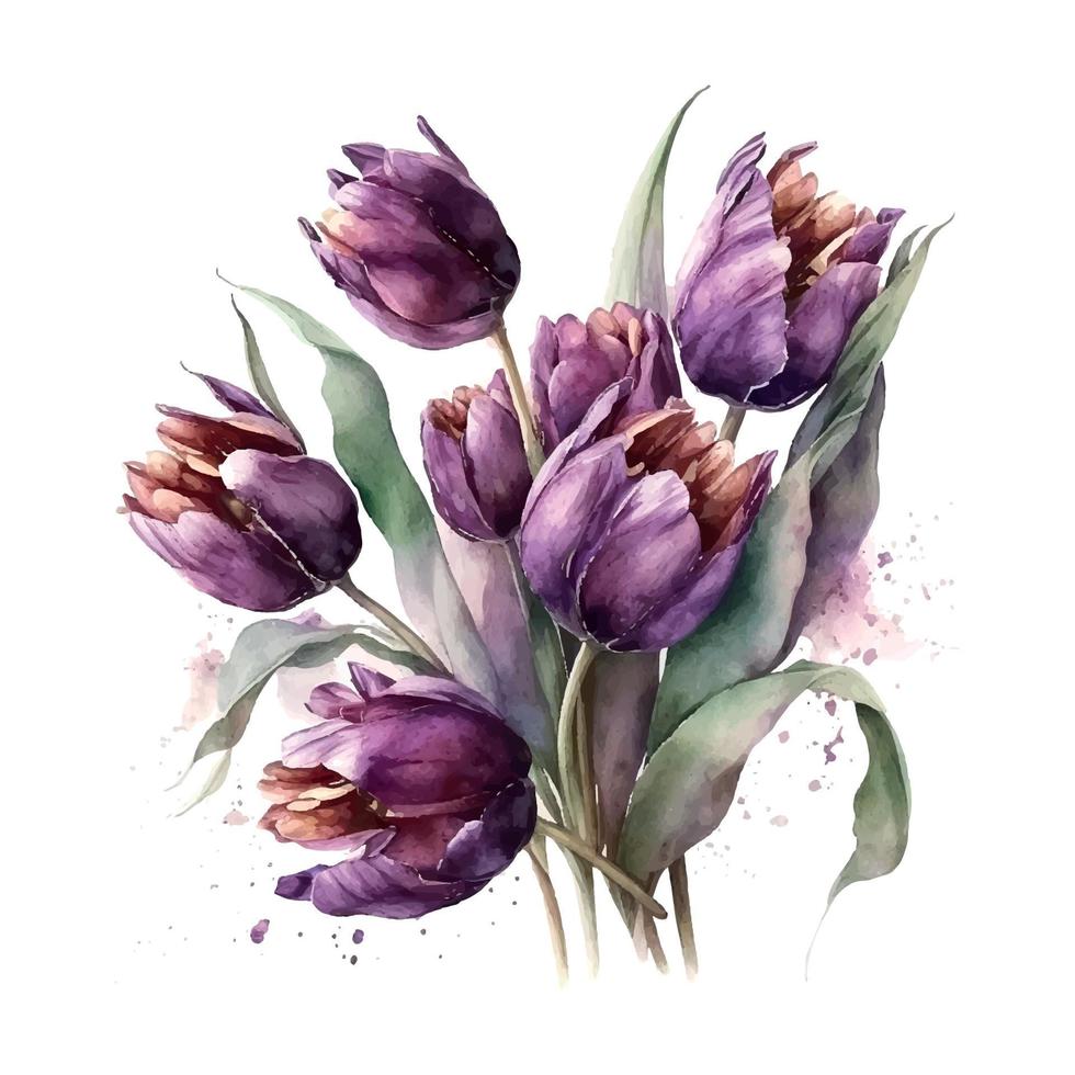 Strauß von Blumen auf ein isoliert Weiß Hintergrund. Aquarell Illustrationen. lila Tulpen Vektor