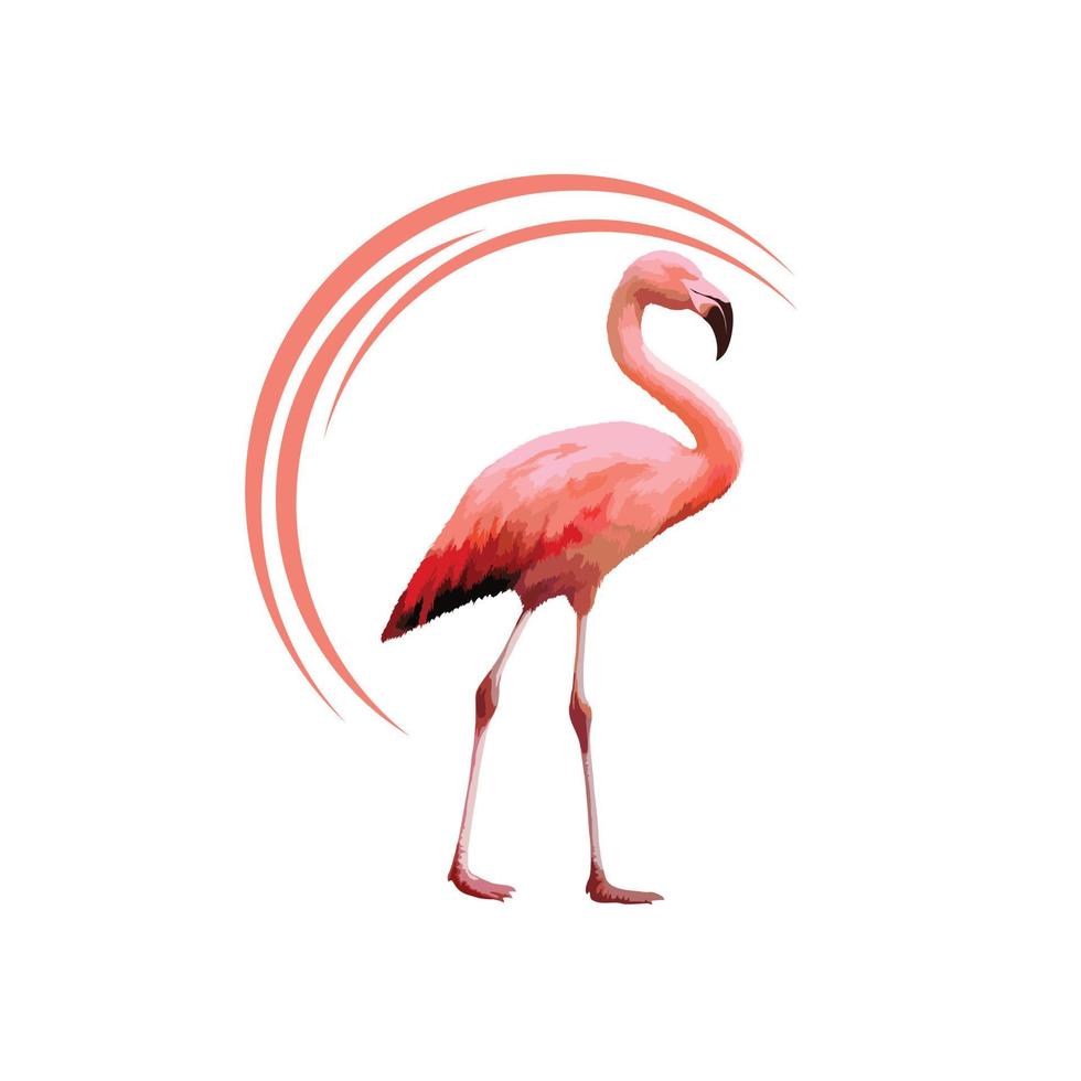 Flamingos isoliert auf Weiß Hintergrund. Flamingo isoliert auf Weiß. Rosa Flamingo Vektor Illustration.