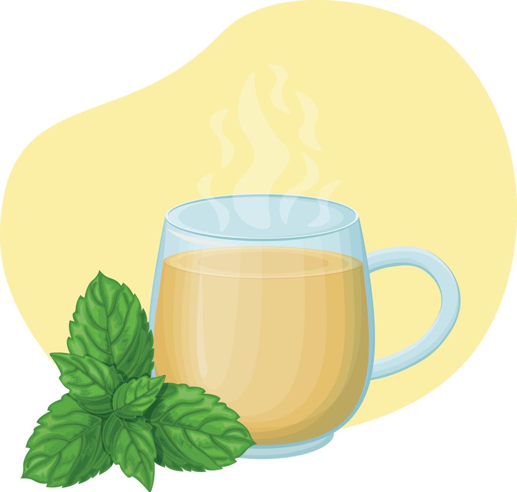 ein Tasse von Tee. transparent Tasse mit ein heiß trinken. medizinisch Dekokt von Minze. ein Teetasse mit Minze Blätter. Vektor Illustration