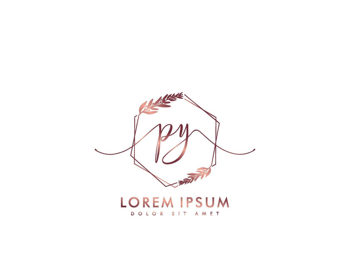 första brev py feminin logotyp skönhet monogram och elegant logotyp design, handstil logotyp av första signatur, bröllop, mode, blommig och botanisk med kreativ mall vektor