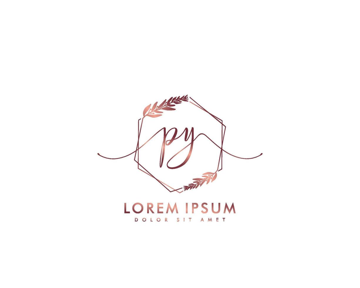 Initiale Brief py feminin Logo Schönheit Monogramm und elegant Logo Design, Handschrift Logo von Initiale Unterschrift, Hochzeit, Mode, Blumen- und botanisch mit kreativ Vorlage vektor