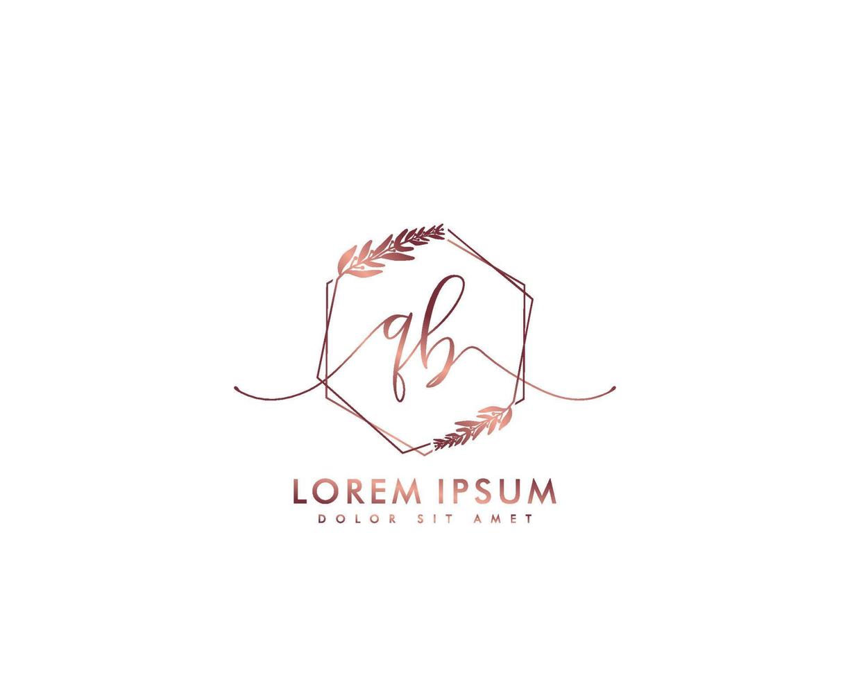 första brev qb feminin logotyp skönhet monogram och elegant logotyp design, handstil logotyp av första signatur, bröllop, mode, blommig och botanisk med kreativ mall vektor