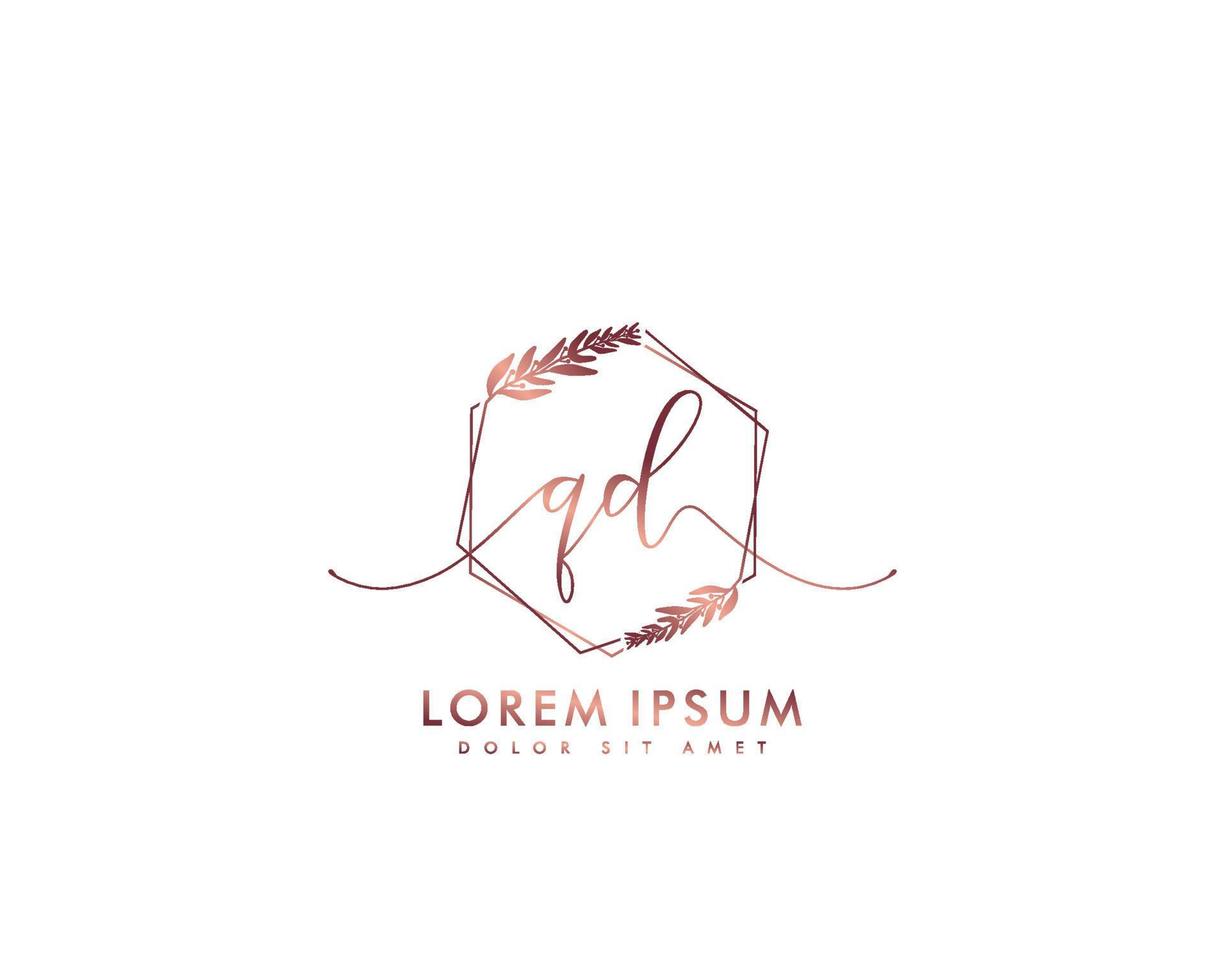 första brev qd feminin logotyp skönhet monogram och elegant logotyp design, handstil logotyp av första signatur, bröllop, mode, blommig och botanisk med kreativ mall vektor