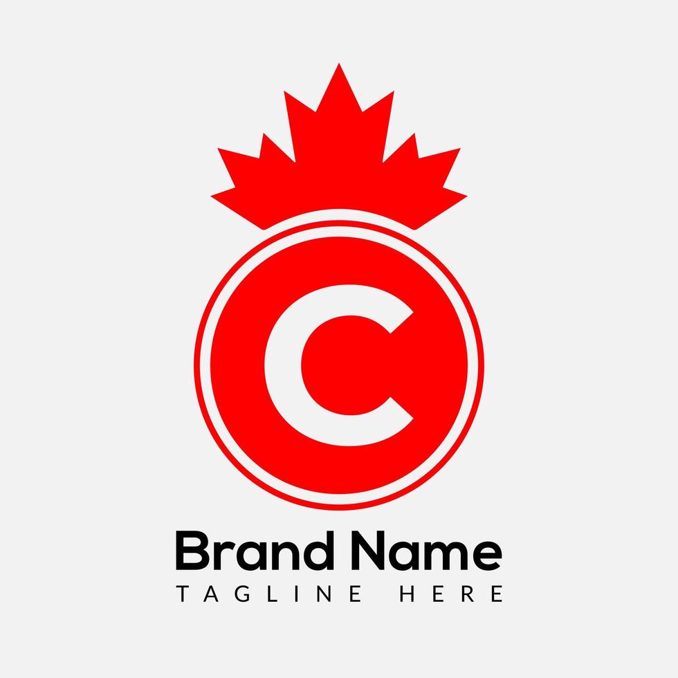 lönn blad på brev c logotyp design mall. kanadensisk företag logotyp, företag, och företag identitet vektor