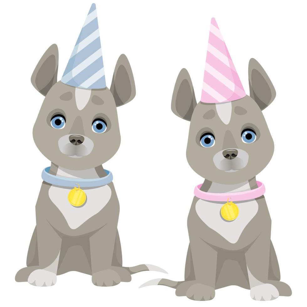 einstellen von zwei grau Hunde mit anders gestreift Geburtstag Hüte vektor