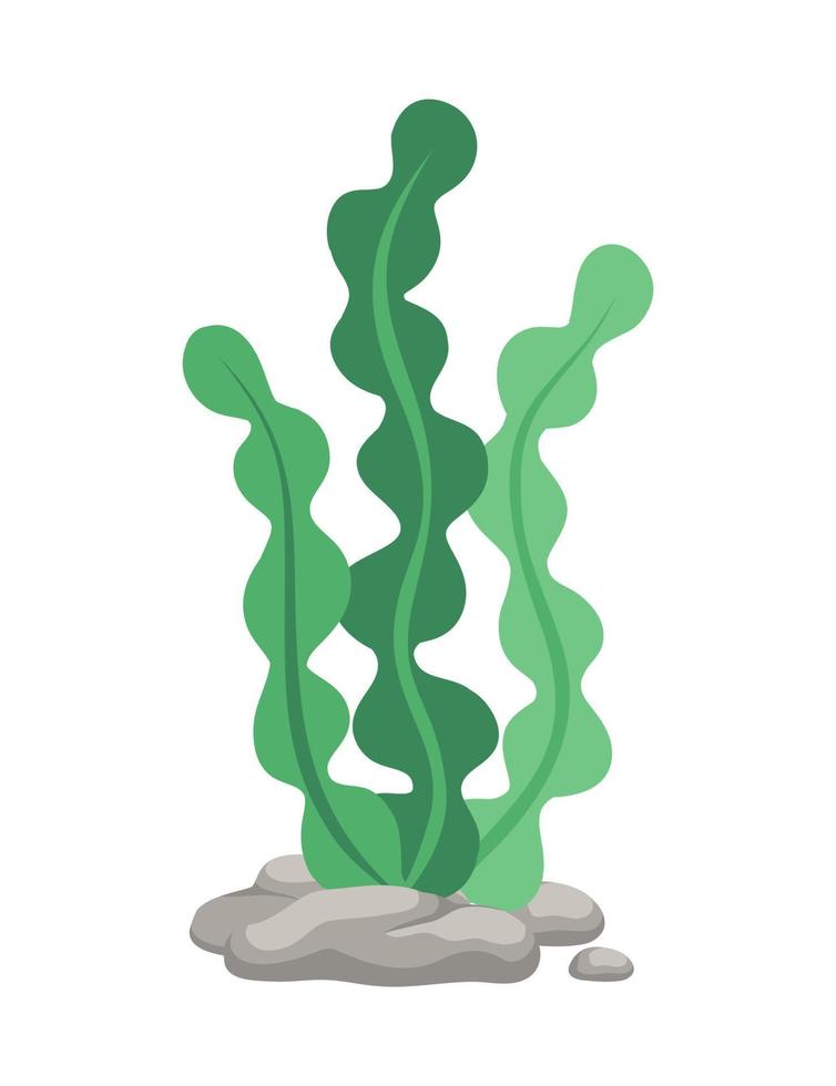 unter Wasser Organismus Algen Seetang Gekritzel Vektor. organisch Wasser Pflanze Illustration. vektor