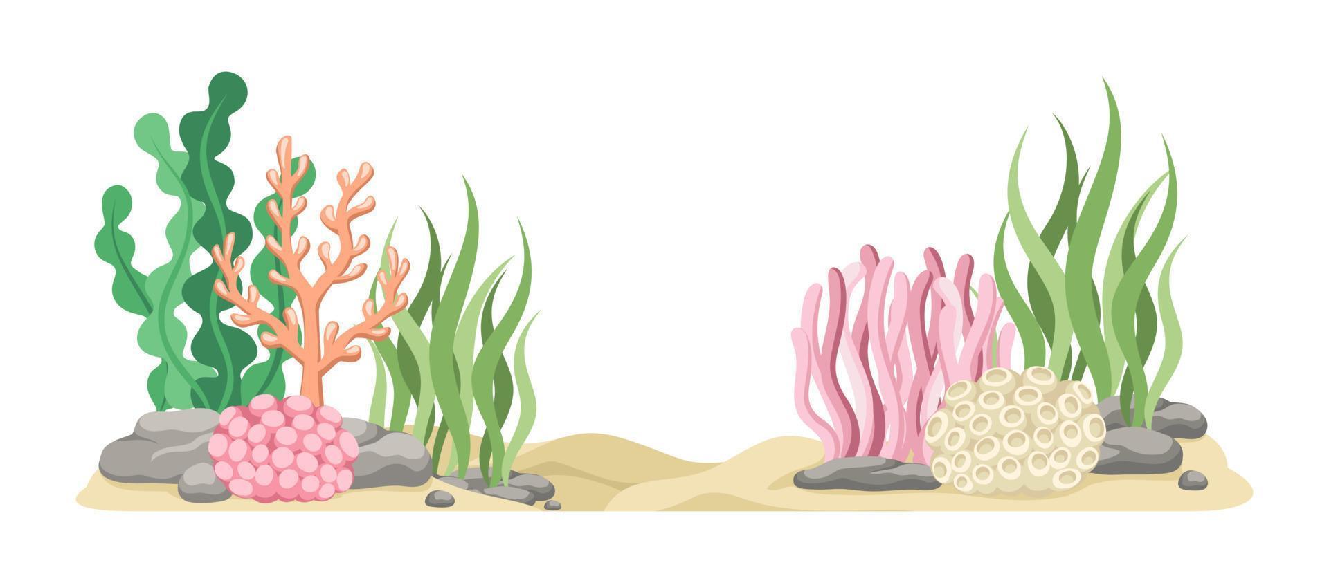 Koralle Riffe mit Algen, Seetang und Felsen Vektor Karikatur Illustration