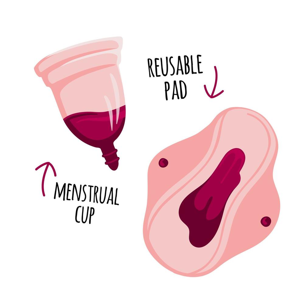 Null Abfall Menstruation Zeitraum Menstruation- Tasse und wiederverwendbar Padvektor Illustration. wiederverwendbar Öko freundlich Konzept. vektor