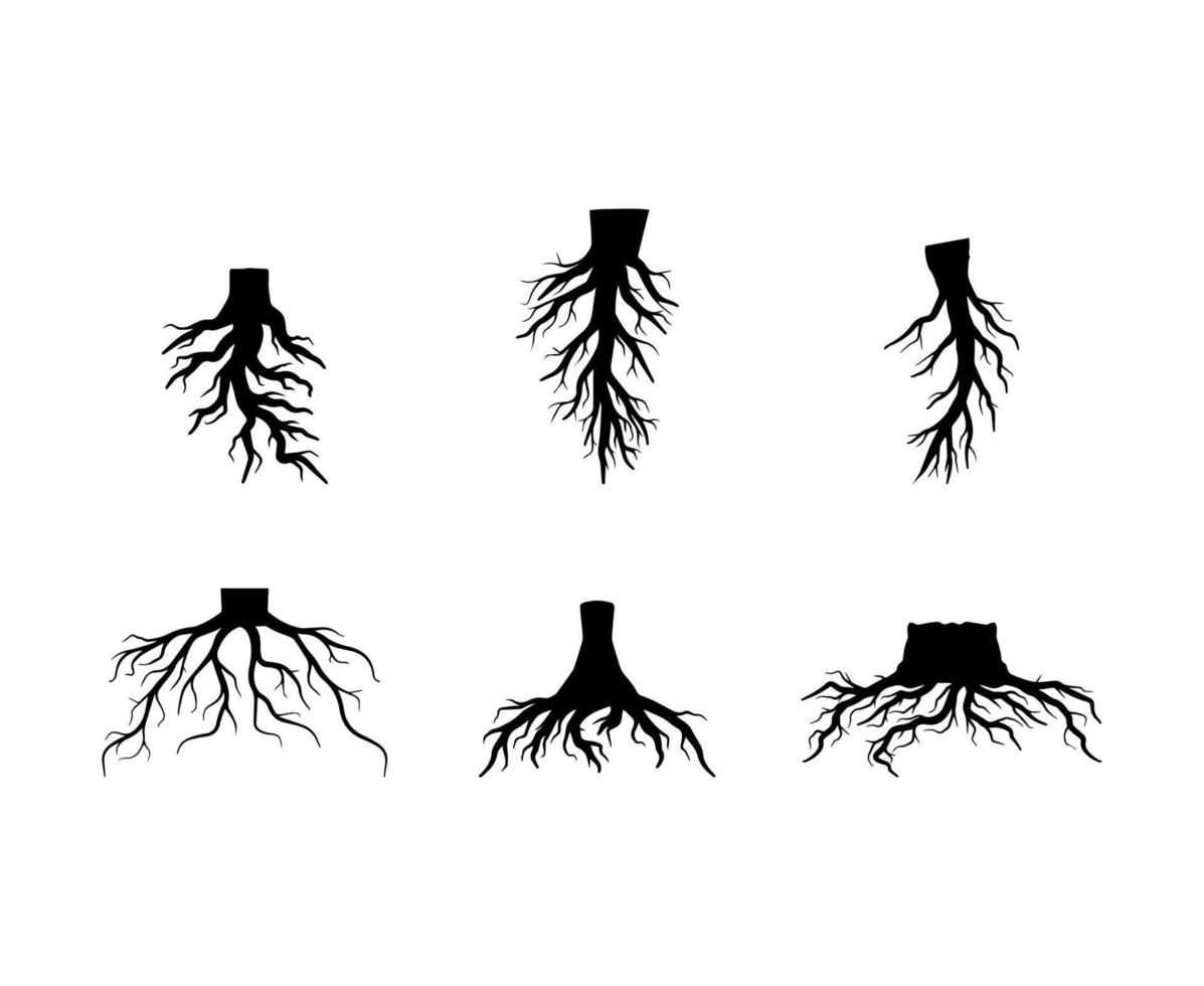 samling av rötter träd silhuett illustrationer vektor