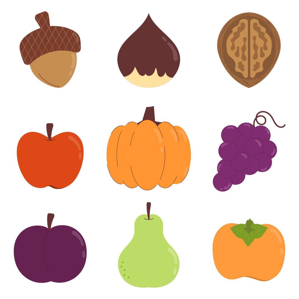 Vektor Abbildungen von Herbst Ernte Objekte. Früchte und Nüsse Das Ernte im Herbst. Eichel, Kastanie, Nussbaum, Apfel, Kürbis, Traube, Pflaume, Birne, und Persimmon.