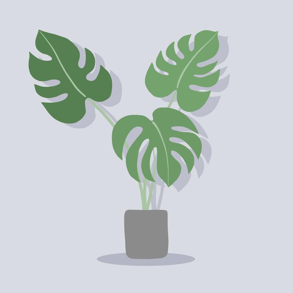 Einfachheit Monstera-Pflanze Freihand-Zeichnung flaches Design. vektor