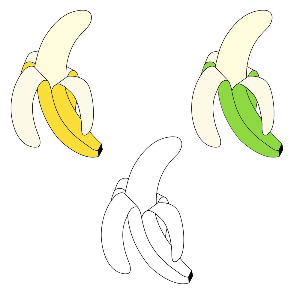 uppsättning med bananer - grön, gul, kontur. skalad banan. tropisk frukter. klotter vektor
