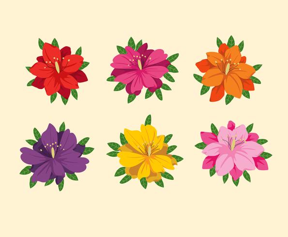Färgglada Azalea Blommor Vector