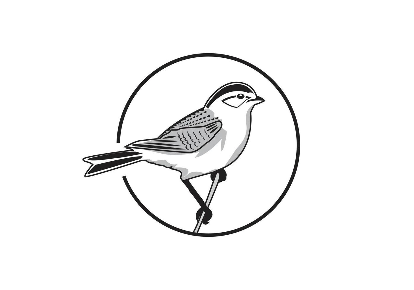 fågel logotyp design vektor