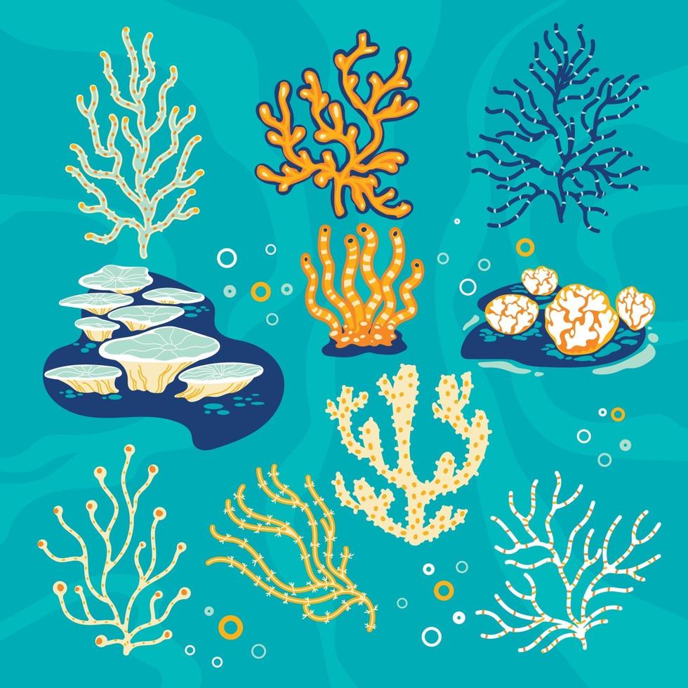 uppsättning koraller och havssvampar vektorillustration vektor