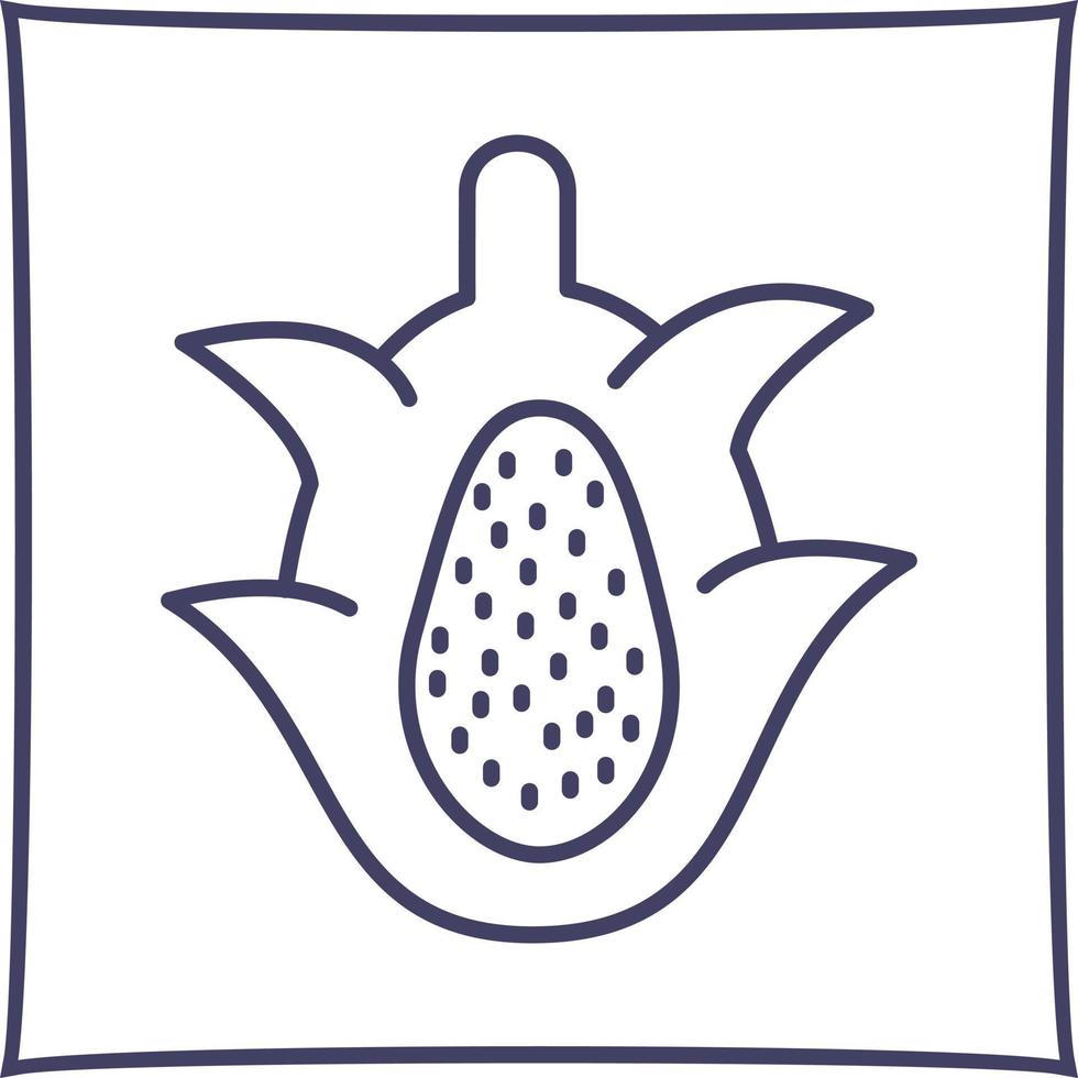 Drachenfrucht-Vektorsymbol vektor