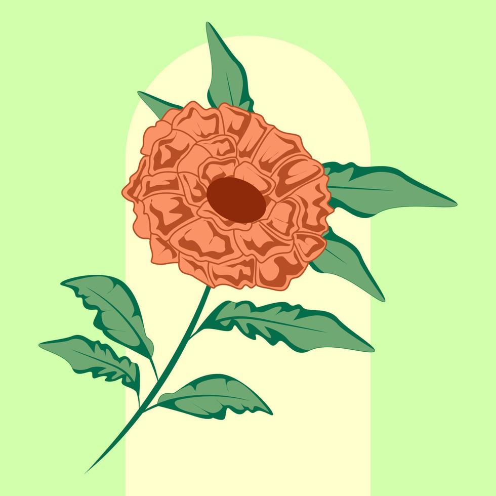 botanische illustration der orange ringelblumenblume vektor