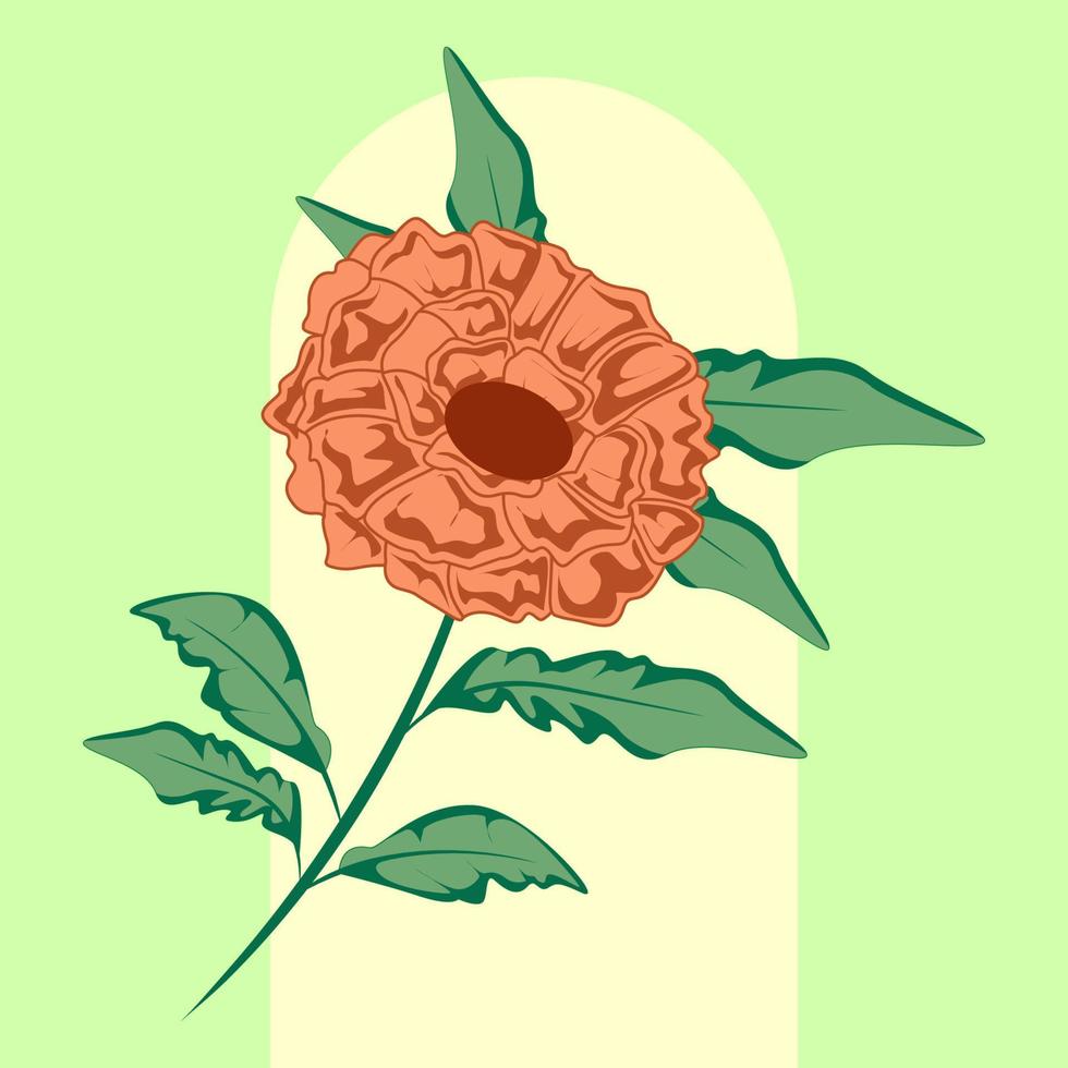 orange ringblomma blomma botanisk illustration vektor