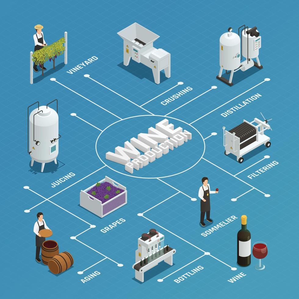 isometrisches Flussdiagramm der Weinproduktion vektor