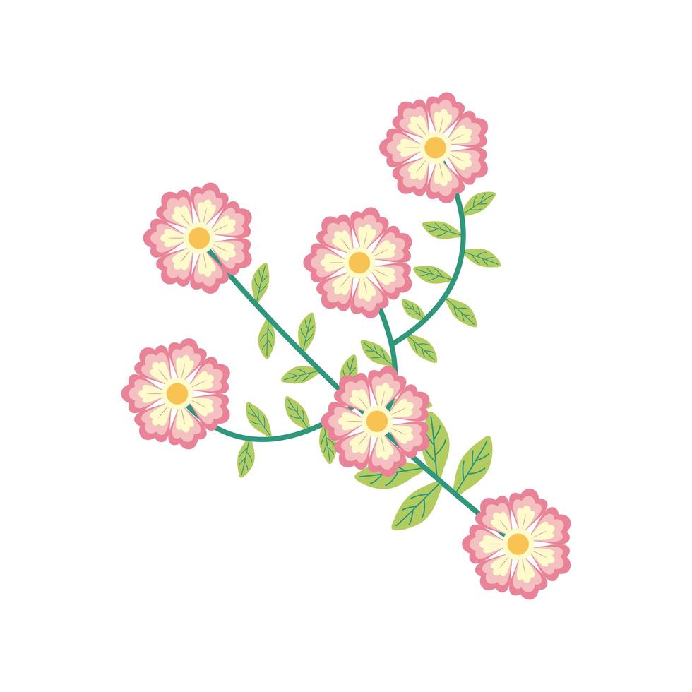 rosa Farbe Blumen Garten flaches Element vektor