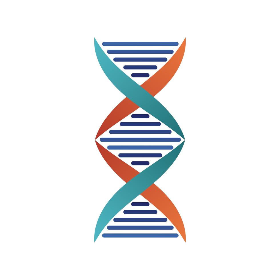 DNA-Molekülstruktur isoliert Symbol vektor