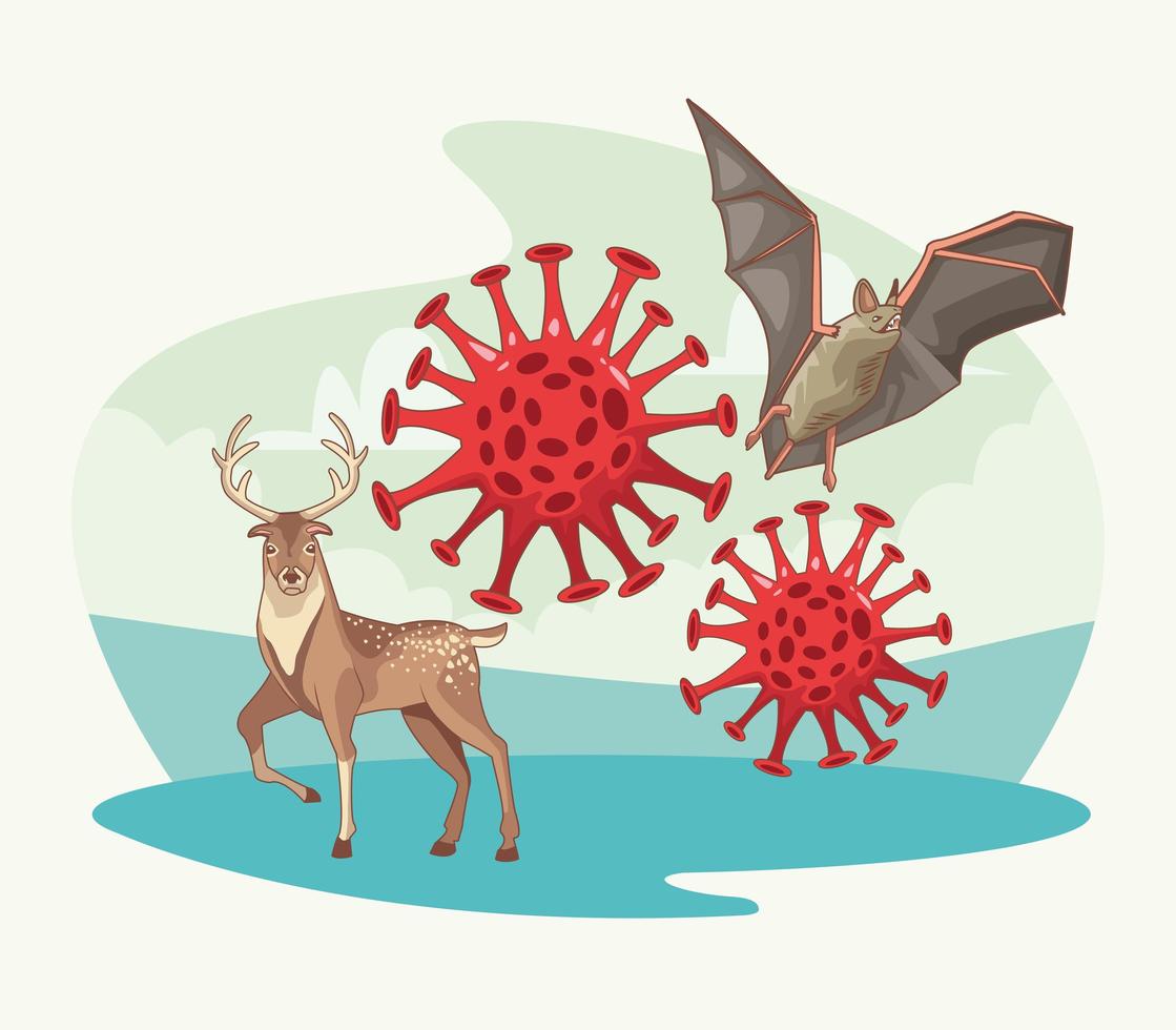 fladdermus och renar med koronavirus vektor