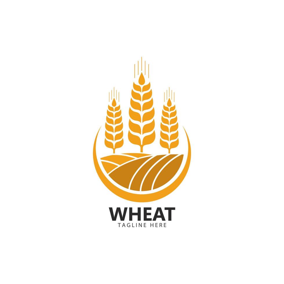 landwirtschaft, weizen, logo, schablone, vektor, symbol vektor