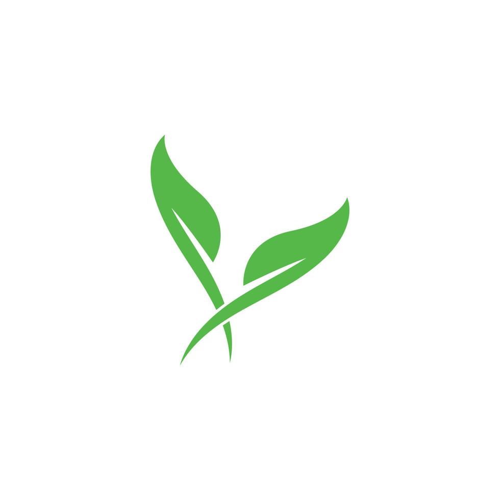 logotyper av gröna blad ekologi naturelement vektor