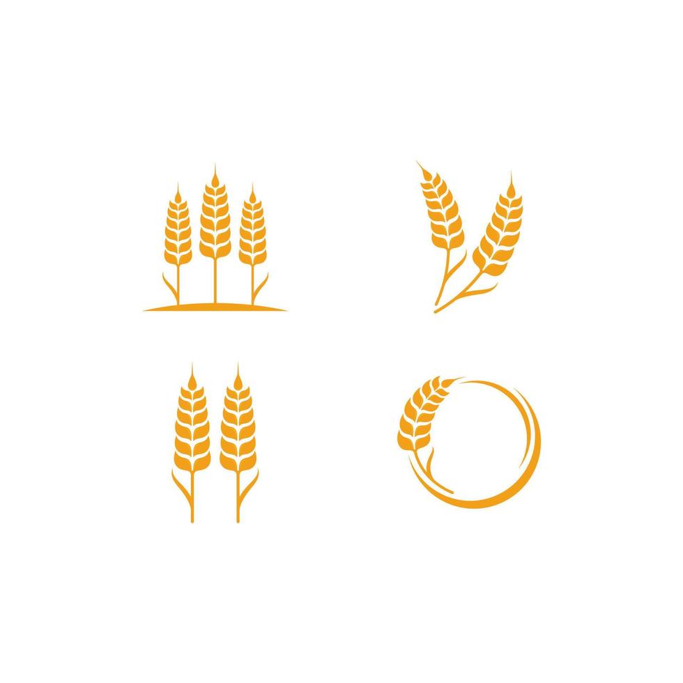 landwirtschaft, weizen, logo, schablone, vektor, symbol vektor