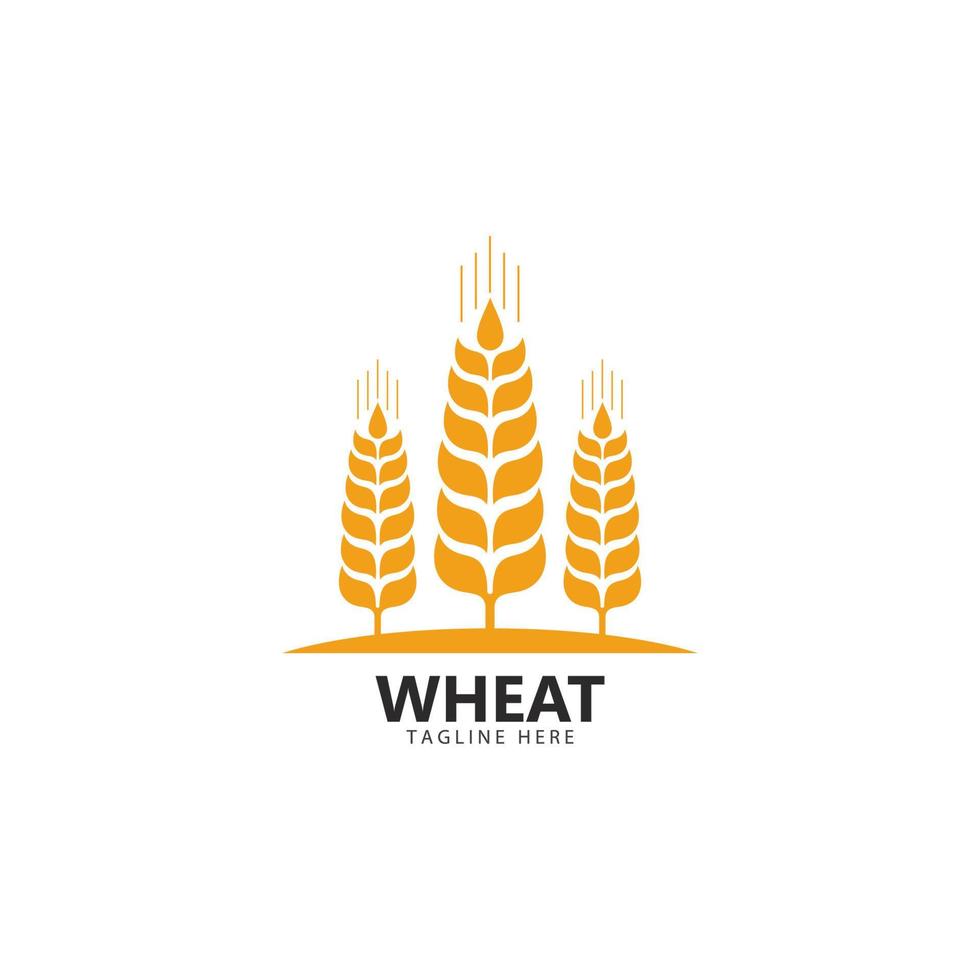 landwirtschaft, weizen, logo, schablone, vektor, symbol vektor