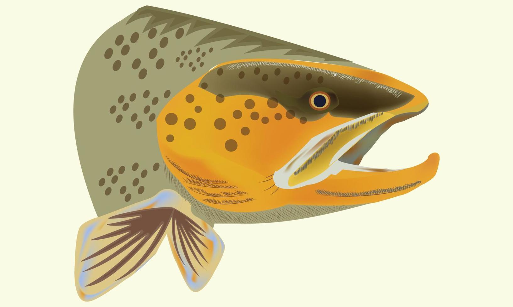 Fisch Kopf Vektor Illustration