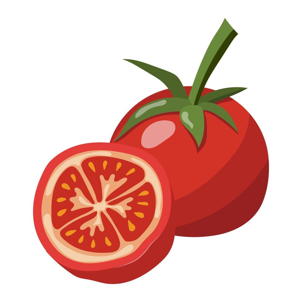 das Tomate ist ganze und Hälfte. Vektor Illustration auf ein Weiß Hintergrund.