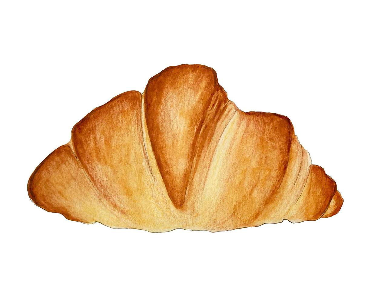 croissant vattenfärg, hand dragen skiss. vektor