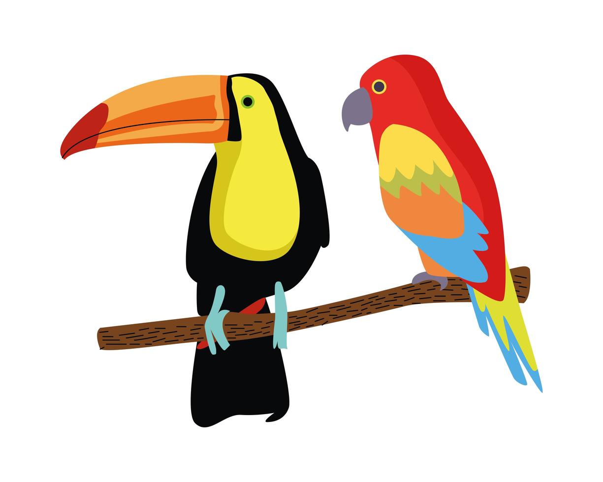 vilda tropiska papegoja och tukan fåglar natur ikon vektor