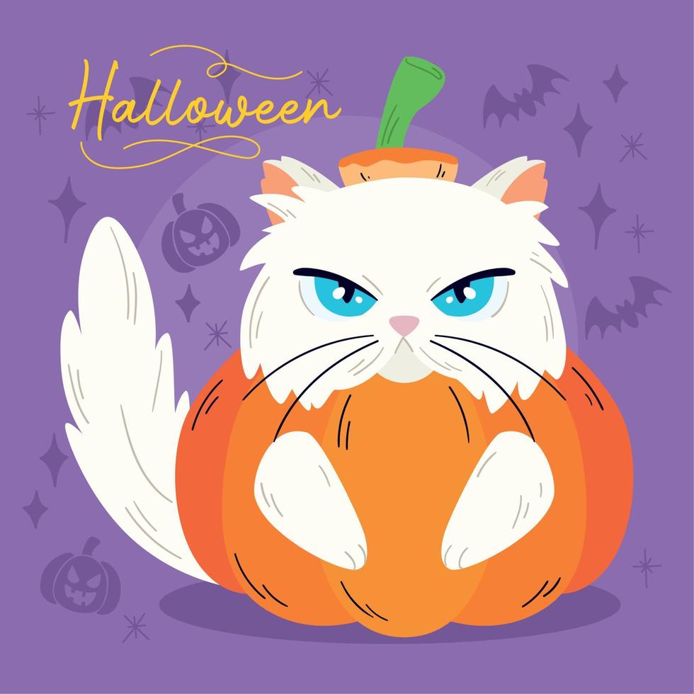 isolerat söt vit katt med en halloween pumpa kostym vektor