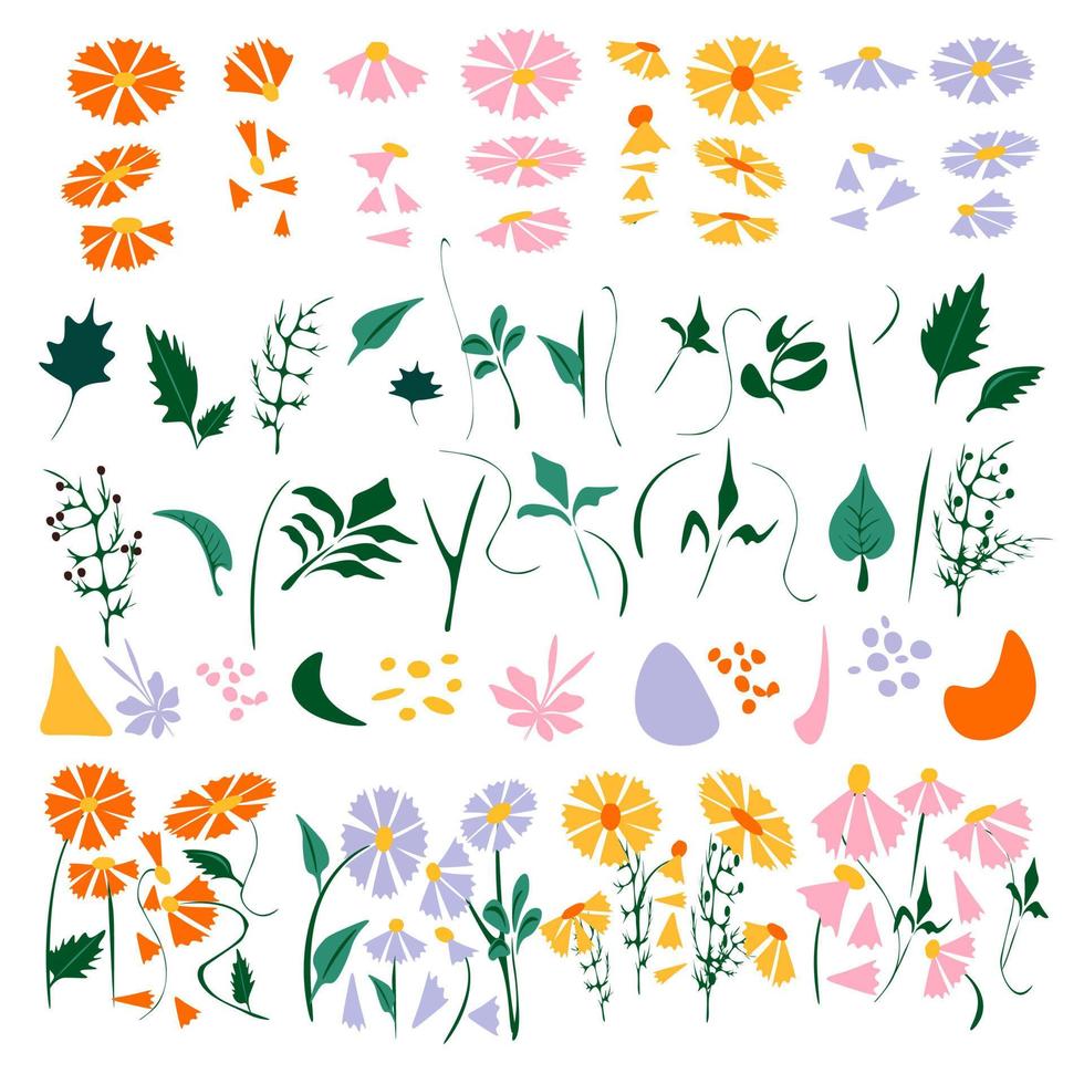 vild blomma färgrik , retro 70s 80s 90s botanisk design blommig illustration av prästkragar.vårtid blommor dekoration vektor växt konst.