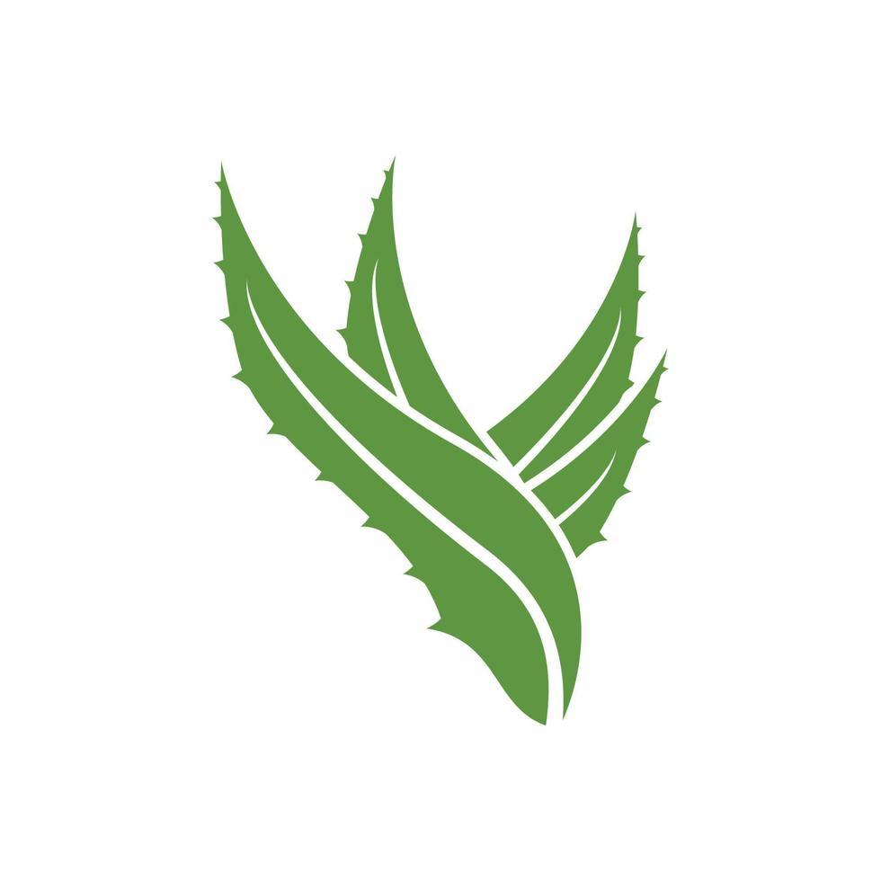 Aloe vera Logo Symbol Design Symbol Schönheit vektor