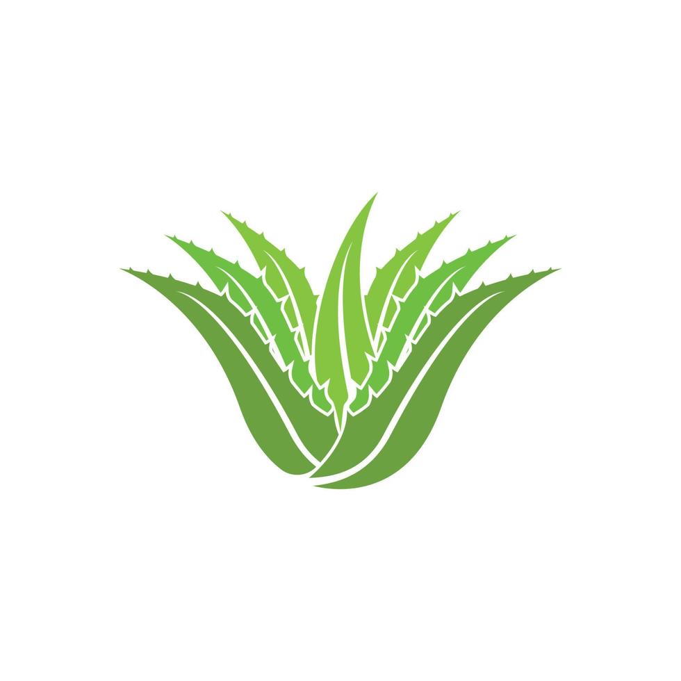 aloe vera logotyp ikon design symbol skönhet vektor